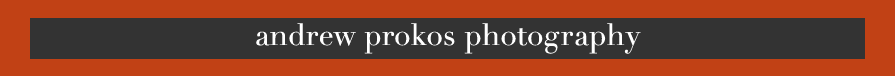 Andrew Prokos Photography